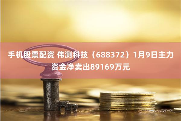 手机股票配资 伟测科技（688372）1月9日主力资金净卖出89169万元